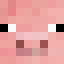 duupe