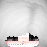 mickey008