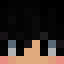 Nyx_Ledger