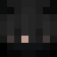 SAIRES