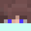 TheIcer