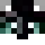 ArachnaEger