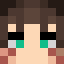 Seto45Set46