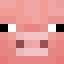 zxc_angell