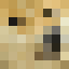 0009