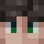 Gooseop13
