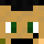 howwa