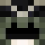 Hromosoma11037