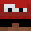 sel1zz